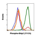 Phospho-Ship2 (Tyr1135) Antibody in Flow Cytometry (Flow)
