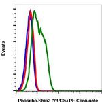 Phospho-Ship2 (Tyr1135) Recombinant Rabbit Monoclonal Antibody (Ship2Y1135-1D2), PE