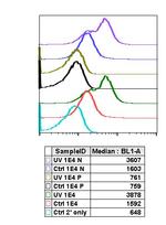 Phospho-Histone H2A.X (Ser139) Antibody in Flow Cytometry (Flow)