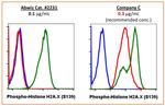Phospho-Histone H2A.X (Ser139) Antibody in Flow Cytometry (Flow)