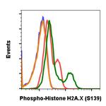 Phospho-Histone H2A.X (Ser139) Antibody in Flow Cytometry (Flow)