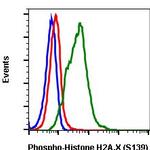 Phospho-Histone H2A.X (Ser139) Antibody in Flow Cytometry (Flow)