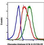 Phospho-Histone H2A.X (Ser139) Antibody in Flow Cytometry (Flow)