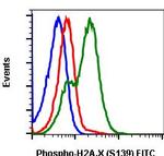 Phospho-Histone H2A.X (Ser139) Antibody in Flow Cytometry (Flow)