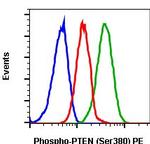 Phospho-PTEN (Ser380) Recombinant Rabbit Monoclonal Antibody (PTENS380-NA9), PE