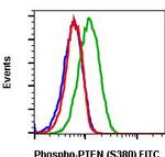 Phospho-PTEN (Ser380) Recombinant Rabbit Monoclonal Antibody (PTENS380-NA9), FITC