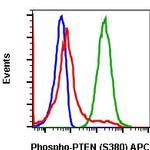 Phospho-PTEN (Ser380) Recombinant Rabbit Monoclonal Antibody (PTENS380-NA9), APC