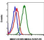 Phospho-MEK3/MEK6 (Ser189, Ser207) Recombinant Rabbit Monoclonal Antibody (MKK3S189MKK6S207-D3), PE