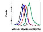 Phospho-MEK3/MEK6 (Ser189, Ser207) Recombinant Rabbit Monoclonal Antibody (MKK3S189MKK6S207-D3), FITC
