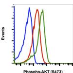 Phospho-Akt1 (Ser473) Antibody in Flow Cytometry (Flow)