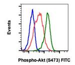 Phospho-Akt1 (Ser473) Antibody in Flow Cytometry (Flow)