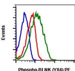 Phospho-BLNK (Tyr84) Recombinant Rabbit Monoclonal Antibody (BLNKY84-H4), PE
