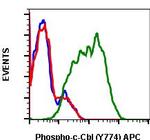 Phospho-c-Cbl (Tyr774) Recombinant Rabbit Monoclonal Antibody (CblY774-R3B8), APC