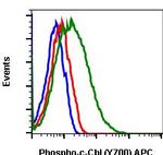 Phospho-c-Cbl (Tyr700) Recombinant Rabbit Monoclonal Antibody (CblY700-E1), APC