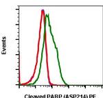 PARP1 (cleaved Asp214) Recombinant Rabbit Monoclonal Antibody (PARP-H8), PE
