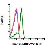 Phospho-Btk (Tyr551) Recombinant Rabbit Monoclonal Antibody (BtkY551-G12), PE