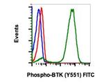 Phospho-Btk (Tyr551) Recombinant Rabbit Monoclonal Antibody (BtkY551-G12), FITC