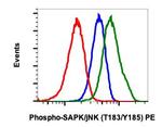 Phospho-MAPK9 (Thr183, Tyr185) Recombinant Rabbit Monoclonal Antibody (SAPKT183Y185-A11), PE