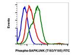 Phospho-MAPK9 (Thr183, Tyr185) Recombinant Rabbit Monoclonal Antibody (SAPKT183Y185-A11), FITC