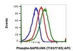Phospho-MAPK9 (Thr183, Tyr185) Recombinant Rabbit Monoclonal Antibody (SAPKT183Y185-A11), APC