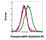 Phospho-S6 Ribosomal Protein (Ser240, Ser244) Antibody in Flow Cytometry (Flow)