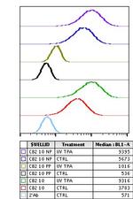 Phospho-HSP27 (Ser82) Antibody in Flow Cytometry (Flow)