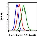 Phospho-HSP27 (Ser82) Antibody in Flow Cytometry (Flow)