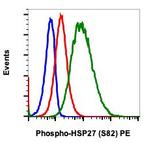 Phospho-HSP27 (Ser82) Antibody in Flow Cytometry (Flow)