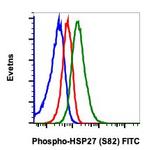 Phospho-HSP27 (Ser82) Recombinant Rabbit Monoclonal Antibody (HSP27S82-CB2), FITC