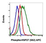 Phospho-HSP27 (Ser82) Recombinant Rabbit Monoclonal Antibody (HSP27S82-CB2), APC