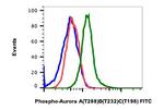 Phospho-Aurora A/B/C (Thr288, Thr232, Thr198) Recombinant Rabbit Monoclonal Antibody (AuroraABC-CC12), FITC