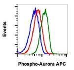 Phospho-Aurora A/B/C (Thr288, Thr232, Thr198) Recombinant Rabbit Monoclonal Antibody (AuroraABC-CC12), APC