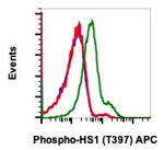 Phospho-HCLS1 (Tyr397) Recombinant Rabbit Monoclonal Antibody (HS1Y397-F12), APC