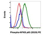 Phospho-NFkB p65 (Ser529) Antibody in Flow Cytometry (Flow)