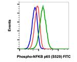 Phospho-NFkB p65 (Ser529) Antibody in Flow Cytometry (Flow)