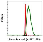 Phospho-Jak1 (Tyr1034, Tyr1035) Antibody in Flow Cytometry (Flow)