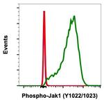 Phospho-Jak1 (Tyr1034, Tyr1035) Antibody in Flow Cytometry (Flow)