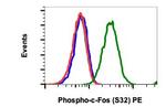 Phospho-c-Fos (Ser32) Recombinant Rabbit Monoclonal Antibody (cFosS32-BA9), PE
