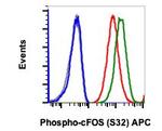 Phospho-c-Fos (Ser32) Recombinant Rabbit Monoclonal Antibody (cFOSS32-BA9), APC