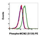 Phospho-MCM2 (Ser139) Recombinant Rabbit Monoclonal Antibody (MCM2S139-B12), PE