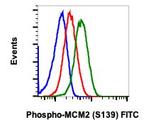 Phospho-MCM2 (Ser139) Recombinant Rabbit Monoclonal Antibody (MCM2S139-B12), FITC