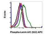 Phospho-Lamin A/C (Ser22) Recombinant Rabbit Monoclonal Antibody (LaminACS22-CF12), APC