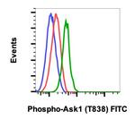 Phospho-Ask1 (Thr838) Recombinant Rabbit Monoclonal Antibody (Ask1T838-8D12), FITC