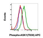 Phospho-Ask1 (Thr838) Recombinant Rabbit Monoclonal Antibody (Ask1T838-8D12), APC