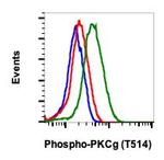 Phospho-PKC gamma (Thr514) Antibody in Flow Cytometry (Flow)