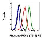 Phospho-PKC gamma (Thr514) Recombinant Rabbit Monoclonal Antibody (PKCgT514-PF4), PE