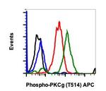 Phospho-PKC gamma (Thr514) Recombinant Rabbit Monoclonal Antibody (PKCgT514-PF4), APC