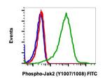 Phospho-Jak2 (Tyr1007, Tyr1008) Recombinant Rabbit Monoclonal Antibody (JAK2Y10071008-PB6), FITC