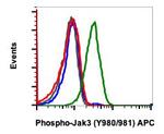 Phospho-Jak2 (Tyr1007, Tyr1008) Recombinant Rabbit Monoclonal Antibody (JAK2Y10071008-PB6), APC