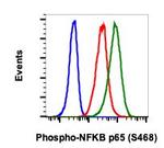 Phospho-NFKB p65 (Ser468) Antibody in Flow Cytometry (Flow)
